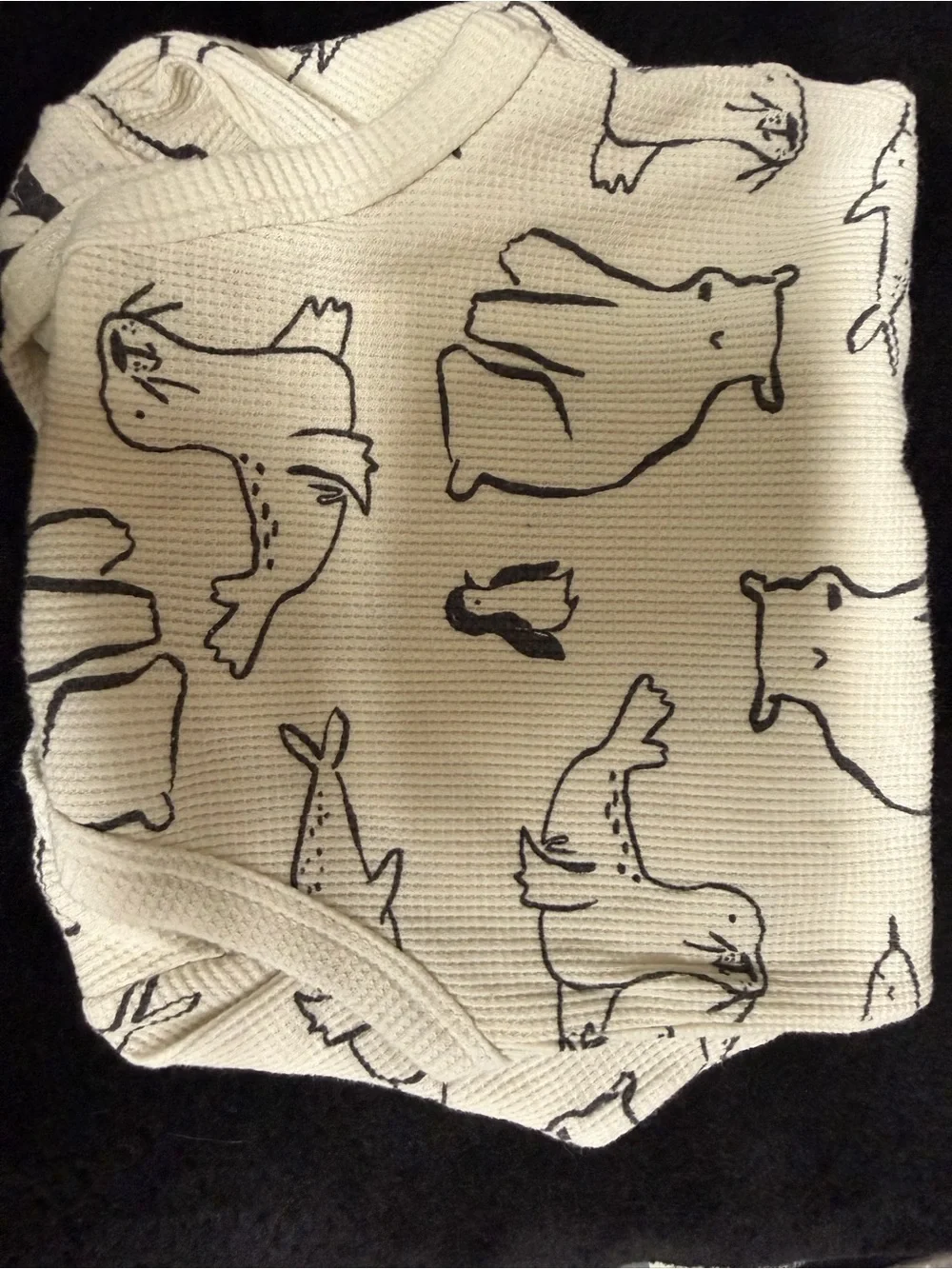 Carter's 2 piece bodysuit set